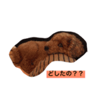 うちのトミーくん。（個別スタンプ：3）