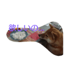 柴犬まりちゃん（個別スタンプ：3）