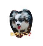 PAPIYON'slucky.3（個別スタンプ：21）