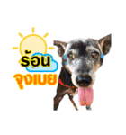 Our Lovely Dogs（個別スタンプ：2）