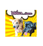Our Lovely Dogs（個別スタンプ：7）
