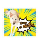 Our Lovely Dogs（個別スタンプ：10）