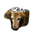 qoo3（個別スタンプ：5）