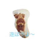 こんにちは、エルだよ！！（個別スタンプ：2）