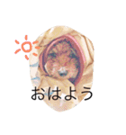 ラムの日常（個別スタンプ：1）