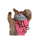 ラムの日常（個別スタンプ：5）