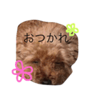 ラムの日常（個別スタンプ：9）