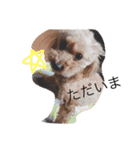 ラムの日常（個別スタンプ：19）