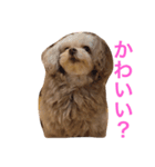 らぶちゃんの気持ち（個別スタンプ：2）