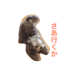 らぶちゃんの気持ち（個別スタンプ：7）
