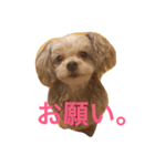 らぶちゃんの気持ち（個別スタンプ：8）
