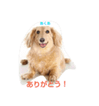 あくりころみちゃん1（個別スタンプ：3）