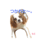 あくりころみちゃん1（個別スタンプ：9）