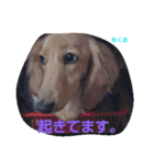 あくりころみちゃん1（個別スタンプ：10）