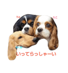あくりころみちゃん1（個別スタンプ：13）
