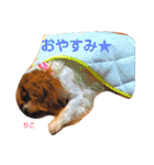 あくりころみちゃん1（個別スタンプ：35）