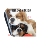 あくりころみちゃん1（個別スタンプ：37）