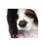 あくりころみちゃん1（個別スタンプ：38）