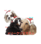 あくりころみちゃん1（個別スタンプ：39）
