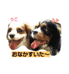 あくりころみちゃん1（個別スタンプ：40）