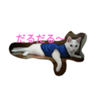 シロネコたん（個別スタンプ：3）