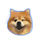 doggie gangster（個別スタンプ：5）