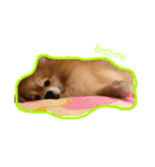 doggie gangster（個別スタンプ：7）