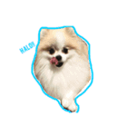 doggie gangster（個別スタンプ：8）