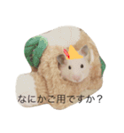 キンクマハムスターきなこ＆わらび（個別スタンプ：6）