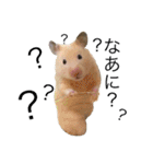 キンクマハムスターきなこ＆わらび（個別スタンプ：9）
