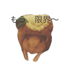 キンクマハムスターきなこ＆わらび（個別スタンプ：23）