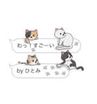 【ひとみ】猫だらけの吹き出し（個別スタンプ：7）