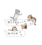 【ひとみ】猫だらけの吹き出し（個別スタンプ：15）