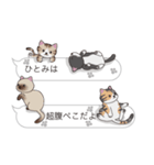 【ひとみ】猫だらけの吹き出し（個別スタンプ：16）