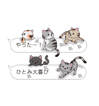 【ひとみ】猫だらけの吹き出し（個別スタンプ：18）