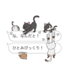 【ひとみ】猫だらけの吹き出し（個別スタンプ：20）