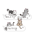 【ひとみ】猫だらけの吹き出し（個別スタンプ：27）