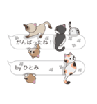 【ひとみ】猫だらけの吹き出し（個別スタンプ：28）