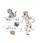 【ひとみ】猫だらけの吹き出し（個別スタンプ：30）