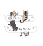 【ひとみ】猫だらけの吹き出し（個別スタンプ：32）