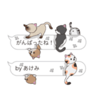 【あけみ】猫だらけの吹き出し（個別スタンプ：28）