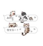 【みか】猫だらけの吹き出し（個別スタンプ：14）