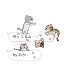 【みか】猫だらけの吹き出し（個別スタンプ：15）