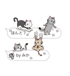 【みか】猫だらけの吹き出し（個別スタンプ：27）