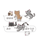 【みか】猫だらけの吹き出し（個別スタンプ：38）