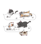 【あい】猫だらけの吹き出し（個別スタンプ：9）