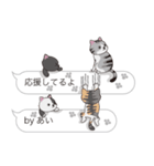 【あい】猫だらけの吹き出し（個別スタンプ：10）