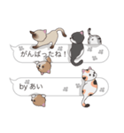 【あい】猫だらけの吹き出し（個別スタンプ：28）