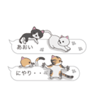 【あおい】猫だらけの吹き出し（個別スタンプ：35）