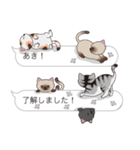 【あき】猫だらけの吹き出し（個別スタンプ：17）